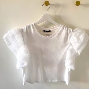 Top with Organza Ruffle Sleeves